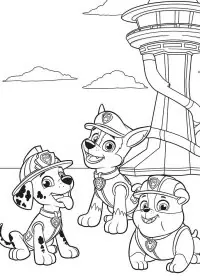 Patrula Cățelușilor de colorat p49