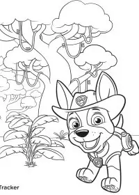 Patrula Cățelușilor de colorat p75