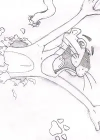 Fisă de colorat cu Pantera roz de colorat p05