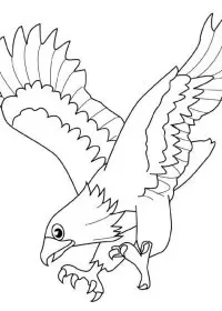 Fisă de colorat cu Pasari de colorat p02