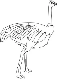 Fisă de colorat cu Pasari de colorat p08