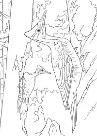 Fisă de colorat cu Pasari de colorat p100