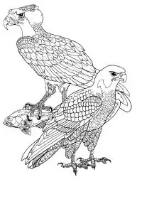 Fisă de colorat cu Pasari de colorat p104