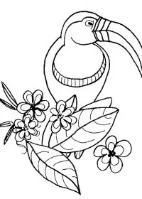 Fisă de colorat cu Pasari de colorat p107