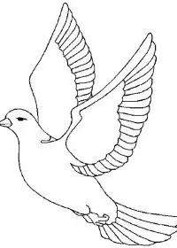 Fisă de colorat cu Pasari de colorat p20