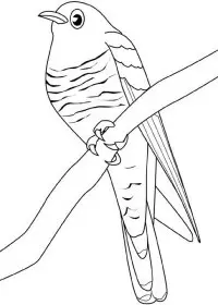 Fisă de colorat cu Pasari de colorat p25