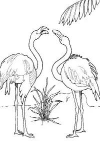 Fisă de colorat cu Pasari de colorat p35
