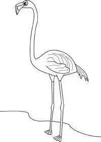 Fisă de colorat cu Pasari de colorat p36