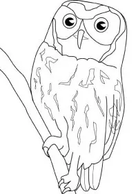 Fisă de colorat cu Pasari de colorat p44