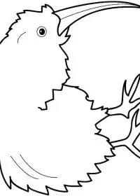 Fisă de colorat cu Pasari de colorat p50