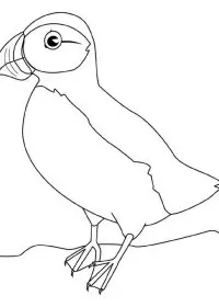 Fisă de colorat cu Pasari de colorat p51