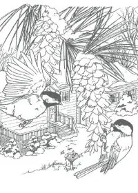 Fisă de colorat cu Pasari de colorat p58