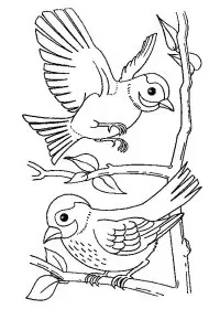 Fisă de colorat cu Pasari de colorat p61