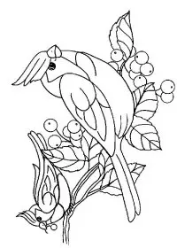 Fisă de colorat cu Pasari de colorat p69