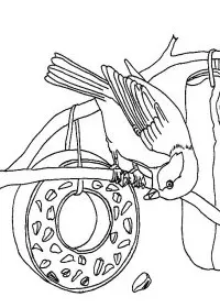 Fisă de colorat cu Pasari de colorat p72