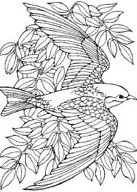 Fisă de colorat cu Pasari de colorat p76