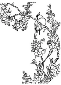 Fisă de colorat cu Pasari de colorat p78