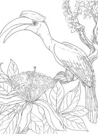 Fisă de colorat cu Pasari de colorat p79