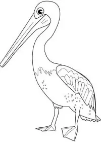 Fisă de colorat cu Pasari de colorat p84
