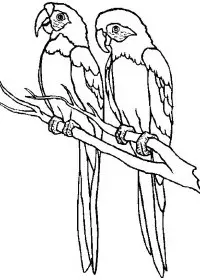 Fisă de colorat cu Pasari de colorat p87