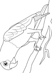 Fisă de colorat cu Pasari de colorat p88