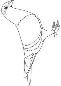 Fisă de colorat cu Pasari de colorat p94