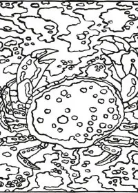 Fisă de colorat cu Pe mare de colorat p10