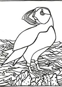 Fisă de colorat cu Pe mare de colorat p14