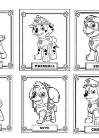 Patrula Cățelușilor de colorat p51