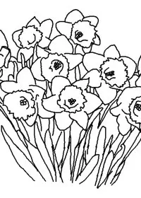 Fisă de colorat cu Primavara de colorat p04