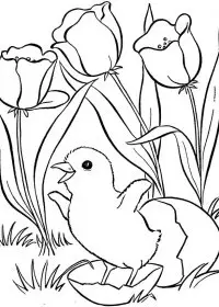 Fisă de colorat cu Primavara de colorat p11