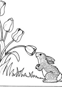 Fisă de colorat cu Primavara de colorat p115