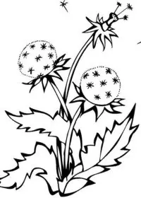 Fisă de colorat cu Primavara de colorat p118