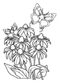 Fisă de colorat cu Primavara de colorat p120