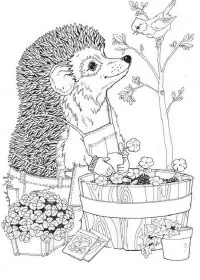 Fisă de colorat cu Primavara de colorat p127