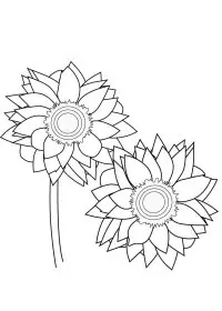 Fisă de colorat cu Primavara de colorat p24