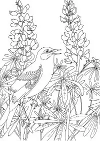 Fisă de colorat cu Primavara de colorat p31