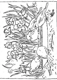 Fisă de colorat cu Primavara de colorat p33