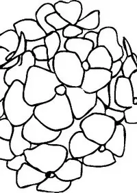 Fisă de colorat cu Primavara de colorat p34