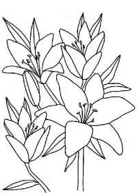 Fisă de colorat cu Primavara de colorat p36