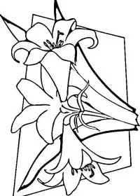 Fisă de colorat cu Primavara de colorat p44