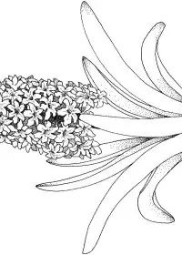 Fisă de colorat cu Primavara de colorat p45