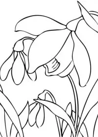 Fisă de colorat cu Primavara de colorat p50