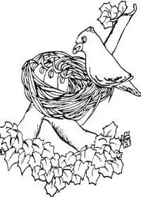 Fisă de colorat cu Primavara de colorat p62