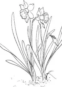 Fisă de colorat cu Primavara de colorat p65