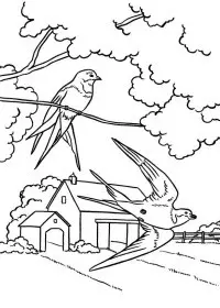 Fisă de colorat cu Primavara de colorat p73