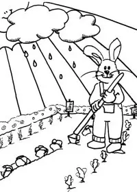 Fisă de colorat cu Primavara de colorat p75