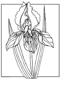 Fisă de colorat cu Primavara de colorat p90