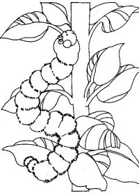 Fisă de colorat cu Primavara de colorat p95