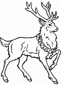 Fisă de colorat cu Renii lui mos craciun de colorat p08